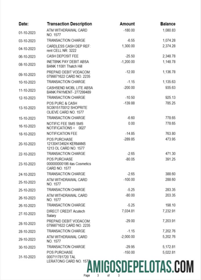 Profesional Albania ProCreditBank bank laporan Word and PDF templat, 3 pages 2