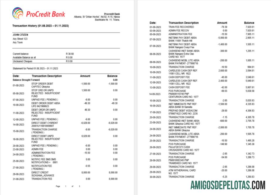 Profesional Albania ProCreditBank bank laporan Word and PDF templat, 3 pages