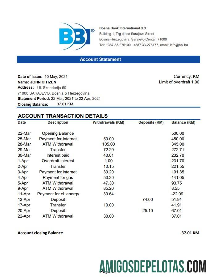 Realistis Bosnia dan Herzegovina Bosna bank International bank laporan easy to fill templat in Excel and PDF format (AutoSum)