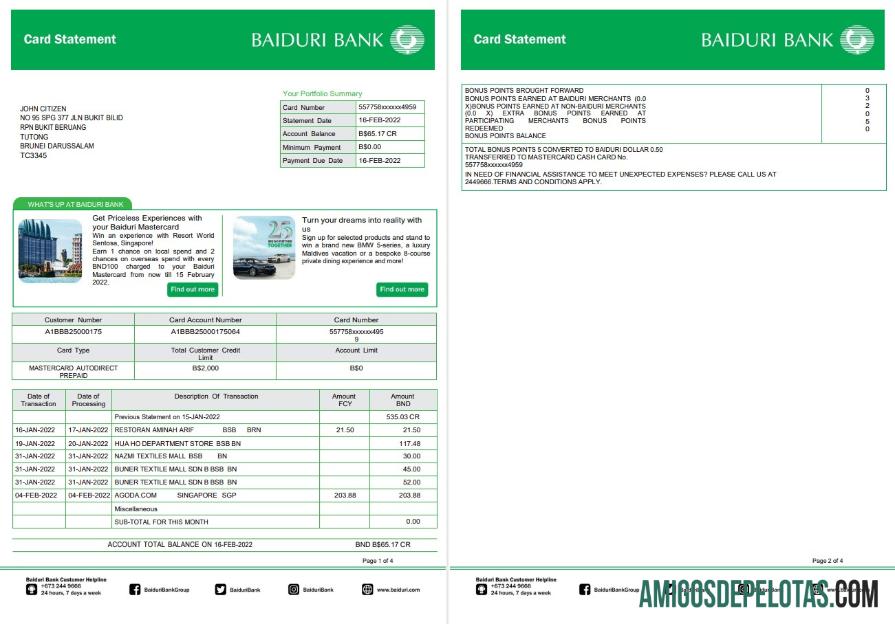 Brunei Baiduri bank kartu laporan desain