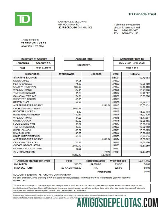 Profesional Kanada TD Kanada Trust bank laporan templat in Excel and PDF format