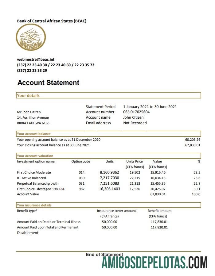 Profesional Republik Afrika Tengah bank of Central African States BEAC bank laporan easy to fill templat in .XLS and .PDF Berkas format (AutoSum)