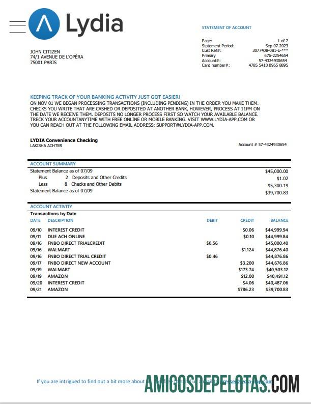 Berkualitas Prancis Lydia Noir bank laporan templat, Word and PDF format