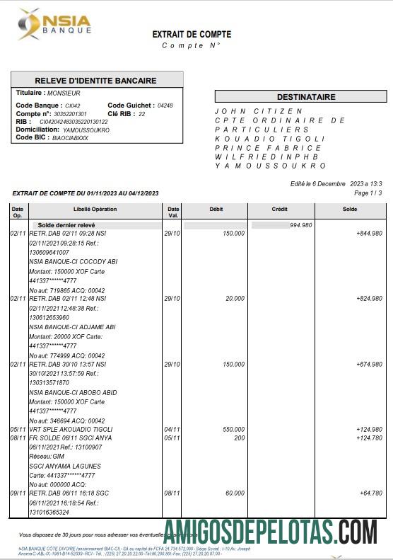 Premium Prancis NSIA Banque laporan Word and PDF templat, 4 pages