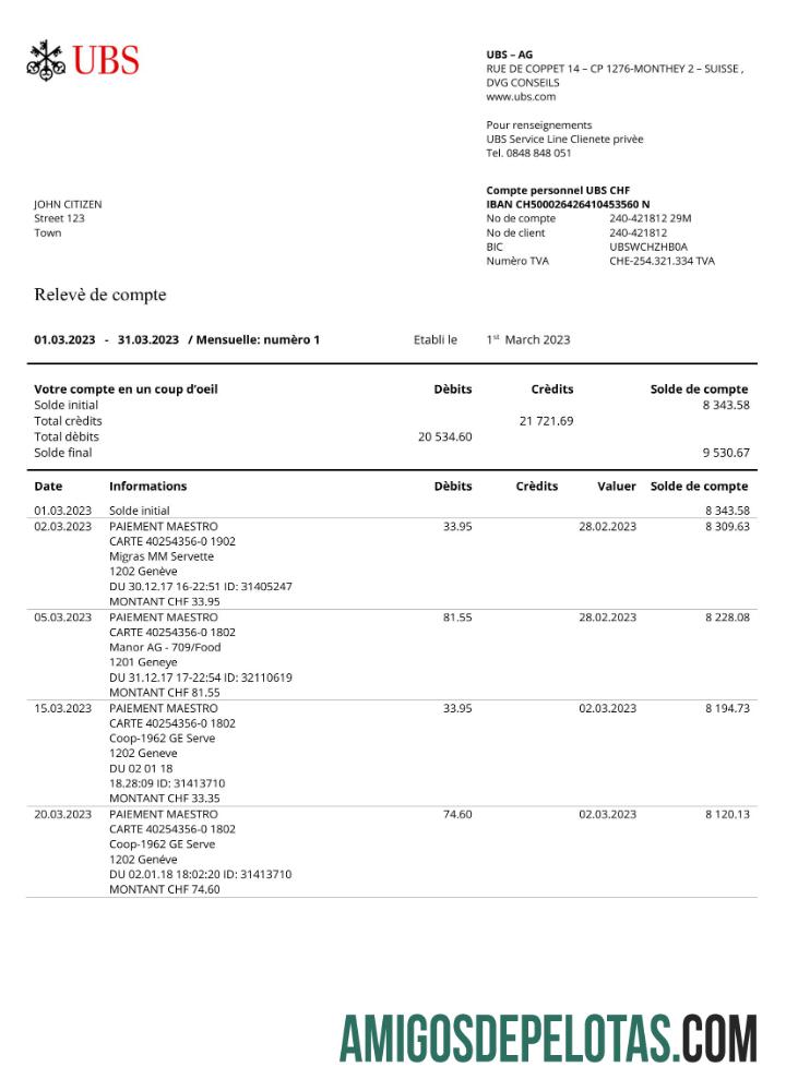 Berkualitas Prancis UBS bank laporan Word and PDF templat