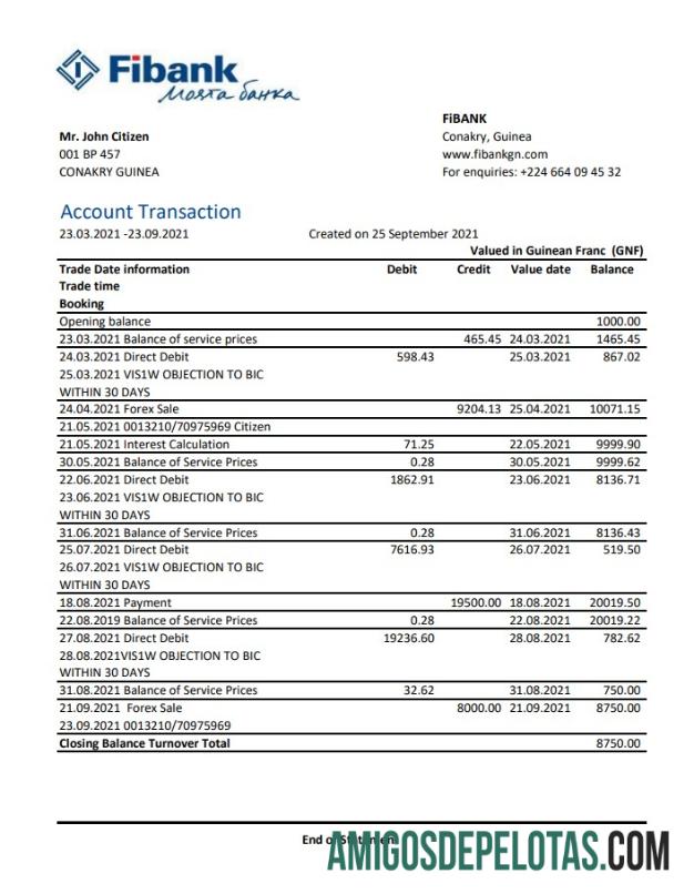 Premium Guinea Fibank bank laporan templat in .XLS and .PDF Berkas format