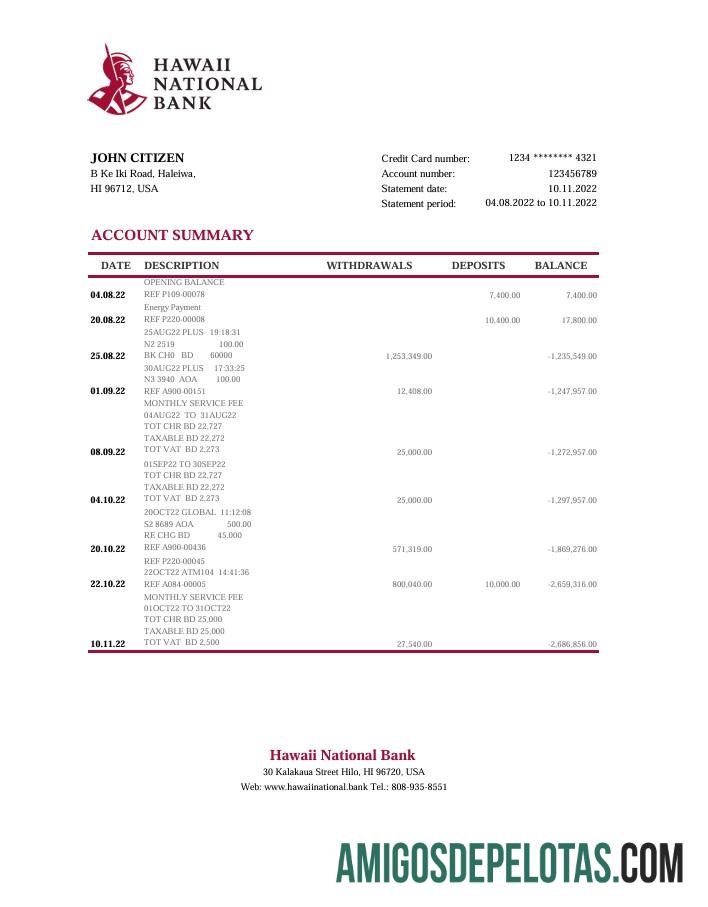 Premium Hawaii nasional bank laporan Excel and PDF templat