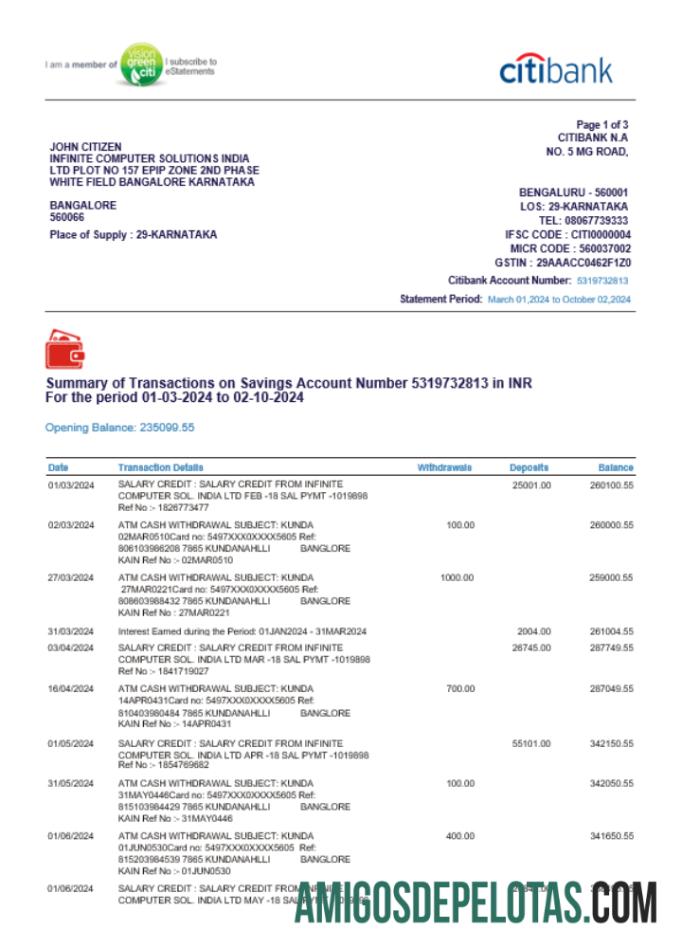 Profesional India CITIBANK bank laporan templat, Word and PDF format