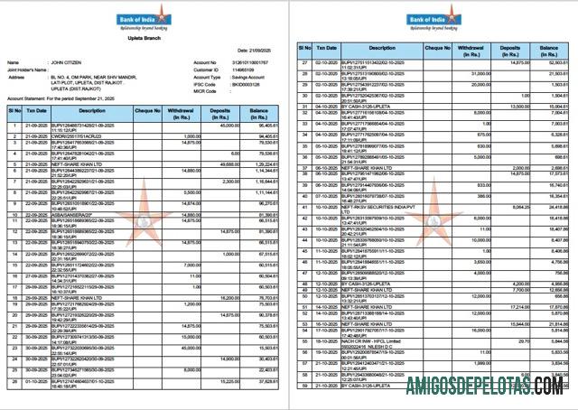 Berkualitas India bank of India rekening laporan Word and PDF templat, 2 pages