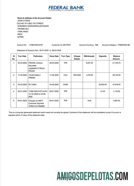 Dapat Diedit India Federal bank laporan of rekening Word and PDF templat, versi 2