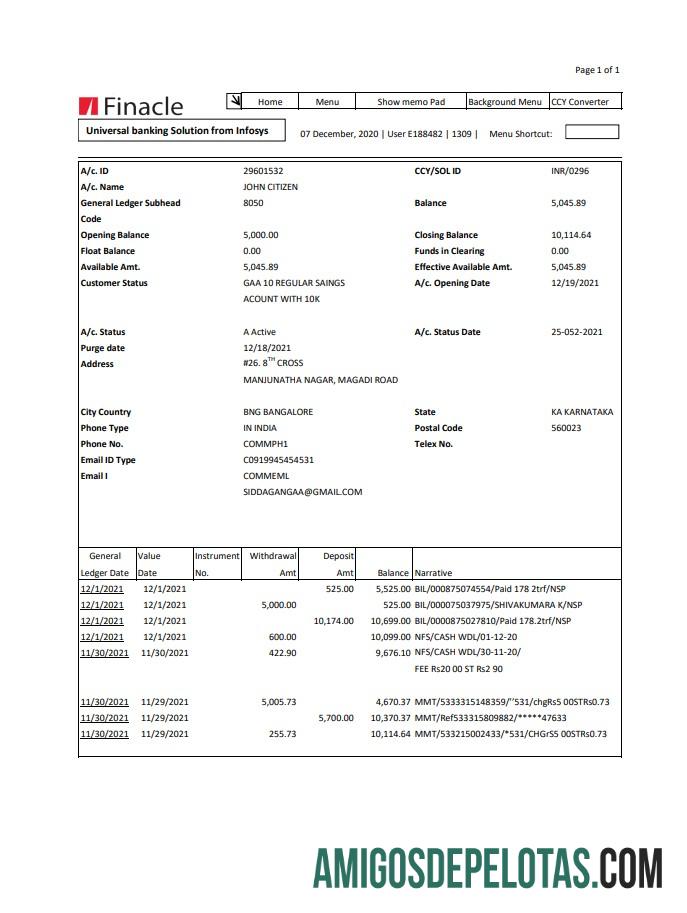 Profesional India Finacle bank laporan easy to fill templat in Excel and PDF format