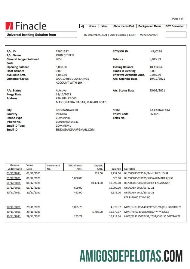 Premium India Finacle bank laporan easy to fill templat in Word and PDF format