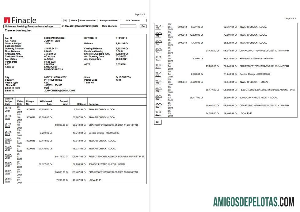 India Finacle bank laporan in Word and PDF format (2 pages) templat