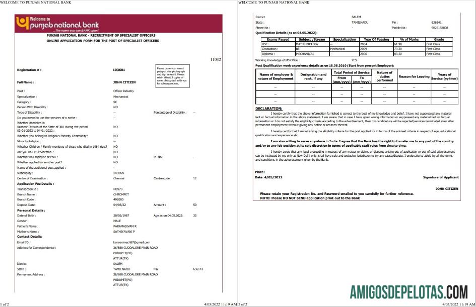 Profesional India Punjab nasional bank laporan Word and PDF templat, 2 pages
