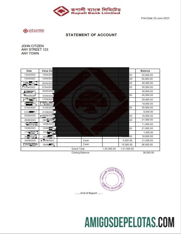 Berkualitas India Rupali Limited bank laporan templat, Word and PDF format