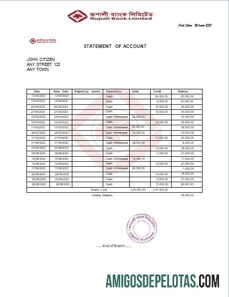 Premium India Rupali Limited Palsu bank laporan Word and PDF templat