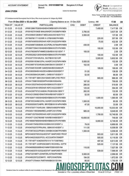 Realistis India┬áBharat Co operative bank rekening laporan Word and PDF templat
