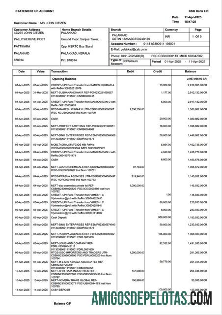 Premium India┬áCSB bank┬álaporan of rekening┬áWord and PDF templat