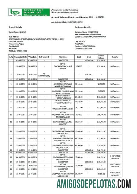 Premium India┬áOriental bank of Commerce┬árekening laporan┬áWord and PDF templat