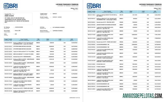 Realistis Indonesia┬ábank Rakyat Indonesia (BRI) laporan of financial Transaksi Word and PDF templat, 2 pages
