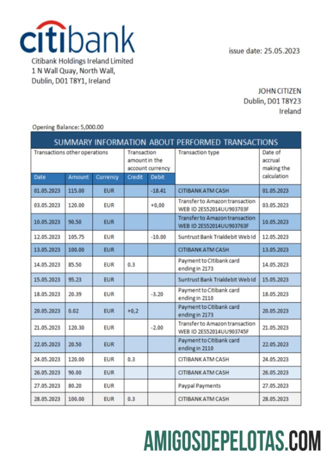Realistis Irlandia Citibank bank laporan Word and PDF templat