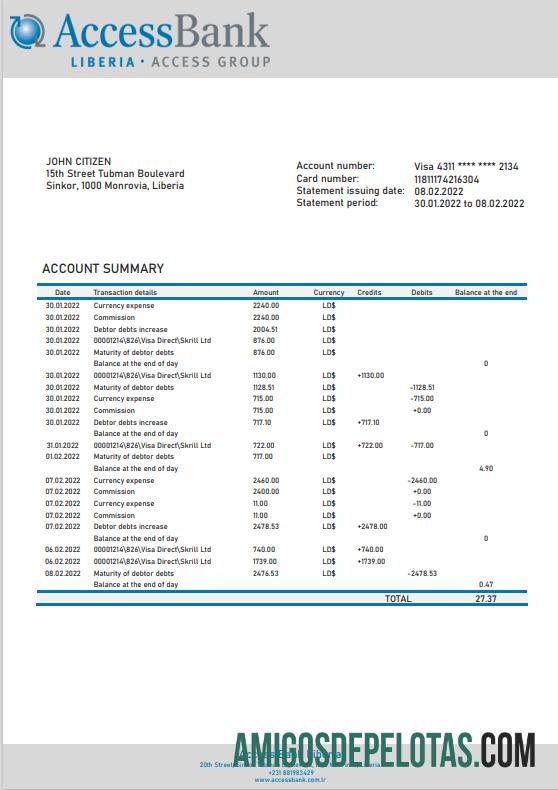 Premium Liberia Access bank laporan templat in Word and PDF format