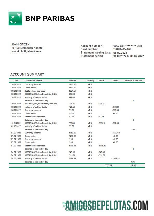 Profesional Mauritania BNP Paribas bank laporan templat in Word and PDF format