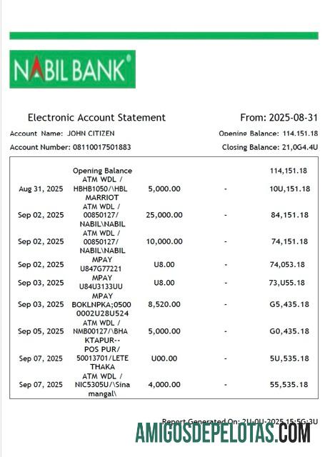 Realistis Nepal┬áNabil bank electronic rekening laporan┬áWord and PDF templat