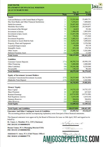 Profesional Nigeria Jaiz bank laporan Word and PDF templat