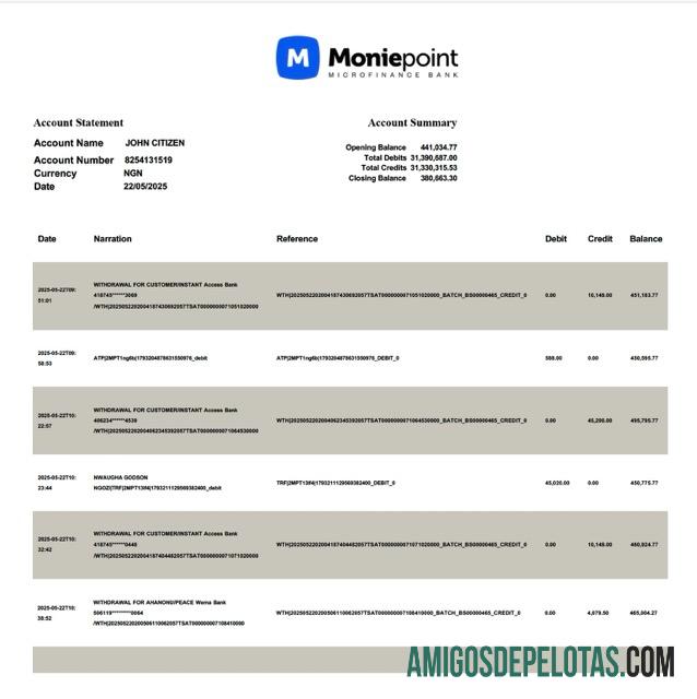 Realistis Nigeria Moniepoint Microfinance bank rekening laporan┬áWord and PDF templat