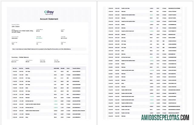 Profesional Nigeria Opay rekening laporan┬áWord and PDF templat, 2 pages