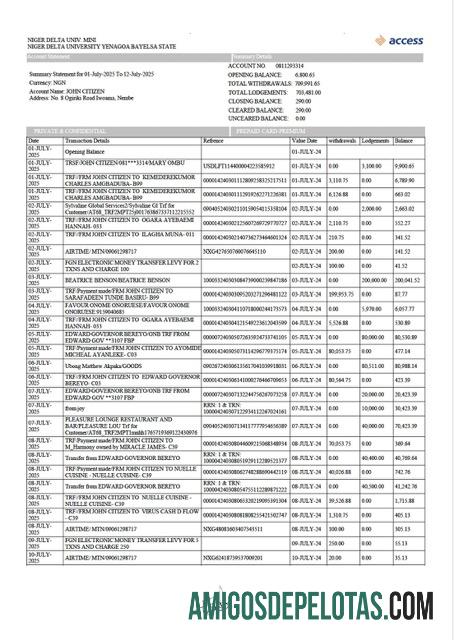 Berkualitas Nigeria┬áAccess bank rekening laporan┬áWord and PDF templat