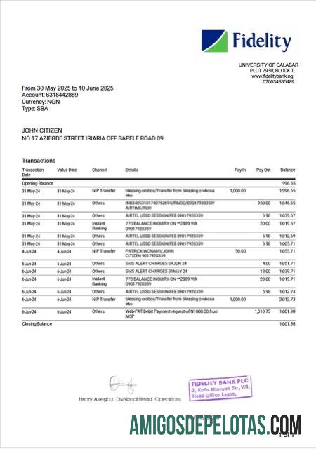 Premium Nigerienia Fidelity bank laporan Word and PDF templat, versi 2