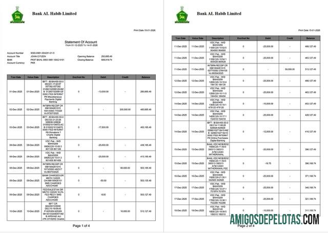 Berkualitas Pakistan bank Al Habib laporan of rekening Word and PDF templat, 4 pages, 1 2 pages