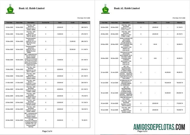 Realistis Pakistan bank Al Habib laporan of rekening Word and PDF templat, 4 pages, 3 4 pages