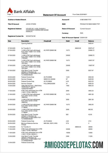 Berkualitas Pakistan bank Alfalah laporan of rekening Word and PDF templat