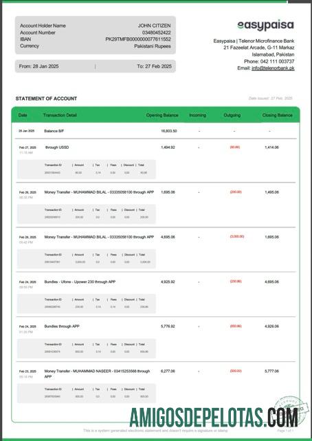 Profesional Pakistan Easypaisa laporan of rekening┬áWord and PDF templat