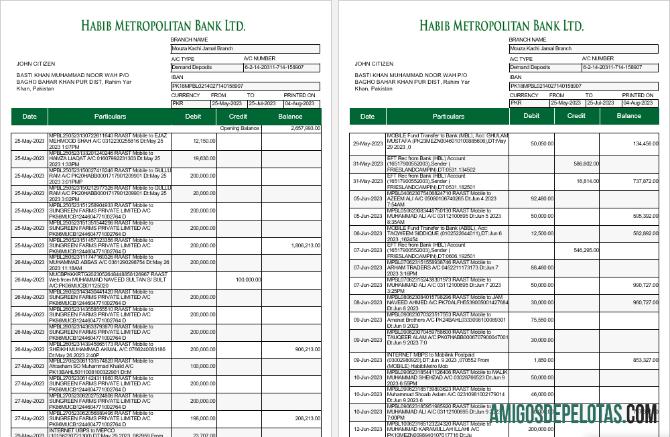 Realistis Pakistan Habib Metropolitan bank laporan Word and PDF templat, 5 pages 1 2