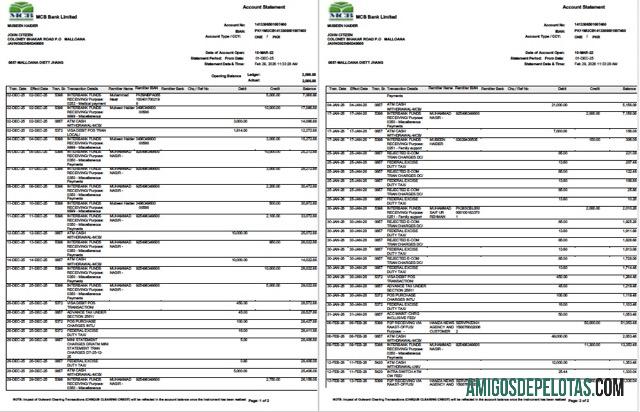 Berkualitas Pakistan MCB bank rekening laporan Word and PDF templat, 2 pages