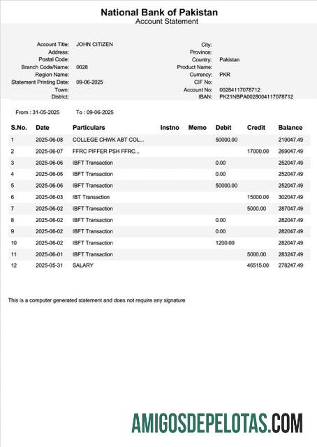 Berkualitas Pakistan nasional bank of Pakistan rekening laporan┬áWord and PDF templat, versi 2