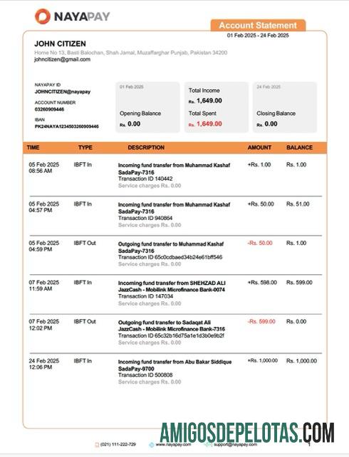 Premium Pakistan NayaPay rekening laporan┬áWord and PDF templat