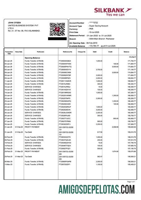 Premium Pakistan Silkbank rekening laporan┬áWord and PDF templat