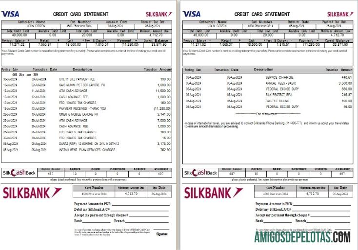 Realistis Pakistan Silkbank laporan Word and PDF templat, 2 pages