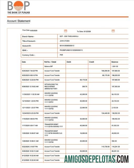 Profesional Pakistan┬ábank of Punjab┬árekening laporan┬áWord and PDF templat