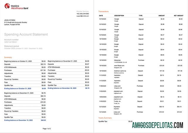 Realistis Pakistan┬áMobilink Microfinance bank┬álaporan of rekening┬áWord and PDF templat, 2 pages, versi 2