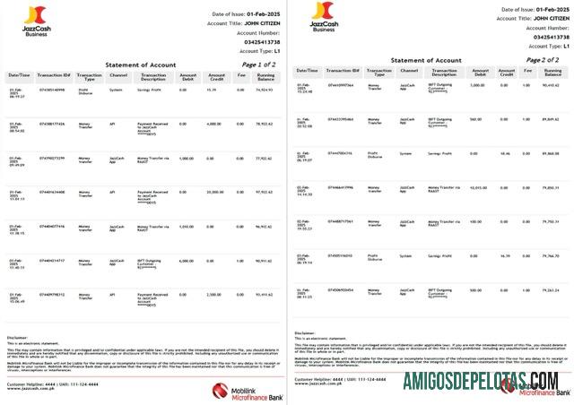 Premium Pakistan┬áMobilink Microfinance bank┬álaporan of rekening┬áWord and PDF templat, 2 pages