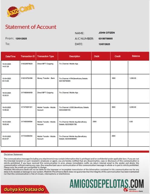 Profesional Pakistan┬áMobilink Microfinance bank┬álaporan of rekening┬áWord and PDF templat, versi 2