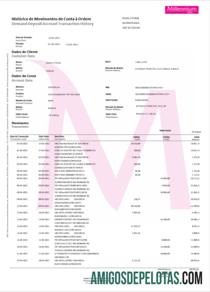 Profesional Polandia Millennium bank laporan Word and PDF templat