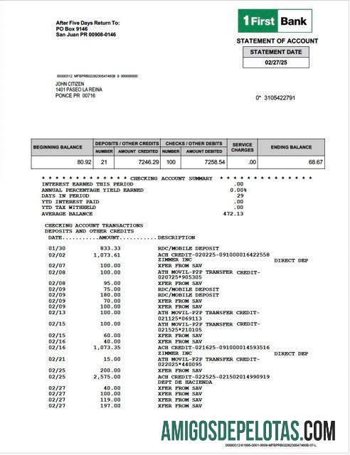 Premium Puerto Riko 1 First bank laporan┬áof rekening Word and PDF templat