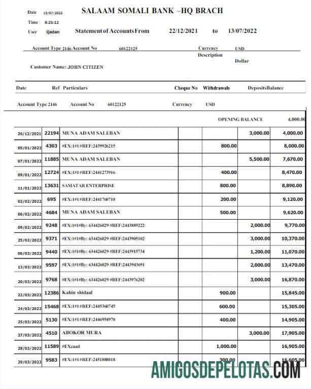 Realistis SOMALI SALAAM SOMALI bank laporan Word and PDF templat